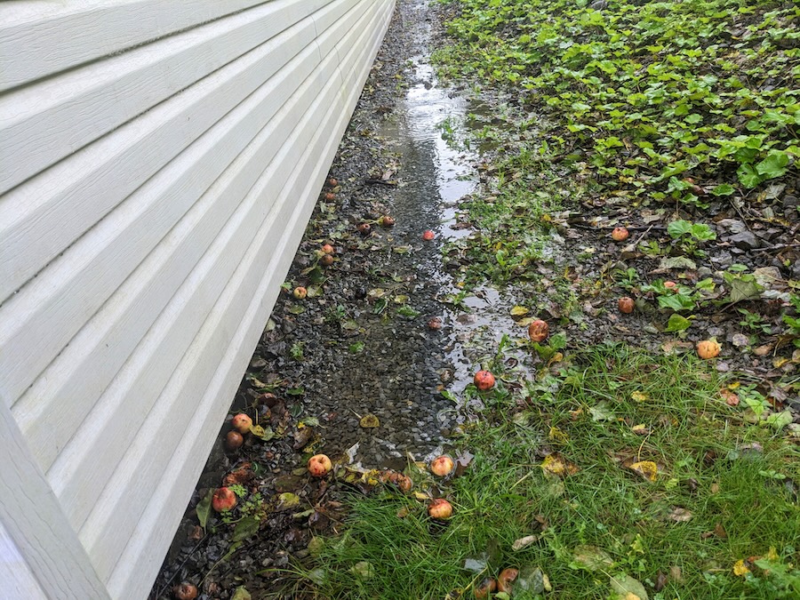 Pooling Water Beside House Foundation