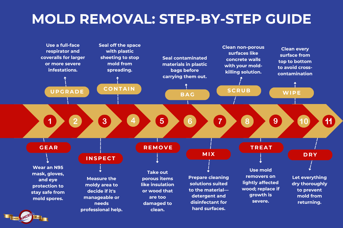 An Infographic by AMC911 on the steps to remove mold